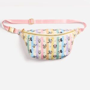 Stoney Clover Lane x Disney x Jumbo Striped Fanny